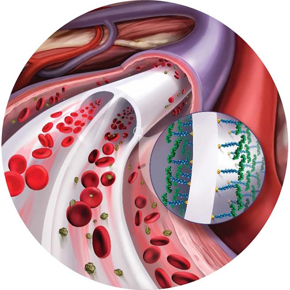 Palindrome™ Precision H Chronic Catheter - Heparin